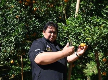 คณะผู้บริหารฯ ลงพื้นที่เยี่ยมกลุ่มเกษตรกรทำไร่โป่งน้ำร้อน พารามิเตอร์รูปภาพ 41