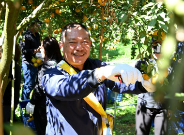 คณะผู้บริหารฯ ลงพื้นที่เยี่ยมกลุ่มเกษตรกรทำไร่โป่งน้ำร้อน พารามิเตอร์รูปภาพ 42