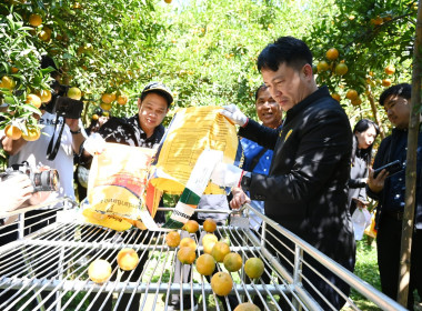 คณะผู้บริหารฯ ลงพื้นที่เยี่ยมกลุ่มเกษตรกรทำไร่โป่งน้ำร้อน พารามิเตอร์รูปภาพ 43