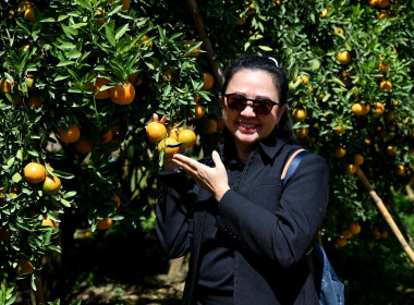 คณะผู้บริหารฯ ลงพื้นที่เยี่ยมกลุ่มเกษตรกรทำไร่โป่งน้ำร้อน พารามิเตอร์รูปภาพ 46