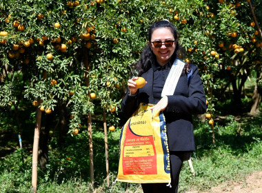 คณะผู้บริหารฯ ลงพื้นที่เยี่ยมกลุ่มเกษตรกรทำไร่โป่งน้ำร้อน พารามิเตอร์รูปภาพ 47