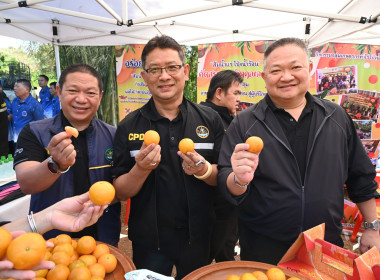 คณะผู้บริหารฯ ลงพื้นที่เยี่ยมกลุ่มเกษตรกรทำไร่โป่งน้ำร้อน พารามิเตอร์รูปภาพ 51