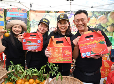 คณะผู้บริหารฯ ลงพื้นที่เยี่ยมกลุ่มเกษตรกรทำไร่โป่งน้ำร้อน พารามิเตอร์รูปภาพ 53