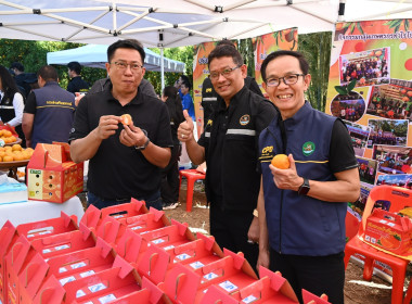 คณะผู้บริหารฯ ลงพื้นที่เยี่ยมกลุ่มเกษตรกรทำไร่โป่งน้ำร้อน พารามิเตอร์รูปภาพ 55