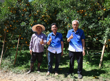 คณะผู้บริหารฯ ลงพื้นที่เยี่ยมกลุ่มเกษตรกรทำไร่โป่งน้ำร้อน พารามิเตอร์รูปภาพ 64