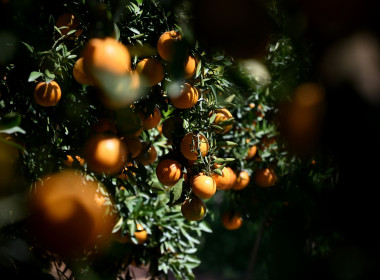 คณะผู้บริหารฯ ลงพื้นที่เยี่ยมกลุ่มเกษตรกรทำไร่โป่งน้ำร้อน พารามิเตอร์รูปภาพ 66