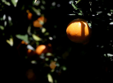 คณะผู้บริหารฯ ลงพื้นที่เยี่ยมกลุ่มเกษตรกรทำไร่โป่งน้ำร้อน พารามิเตอร์รูปภาพ 75