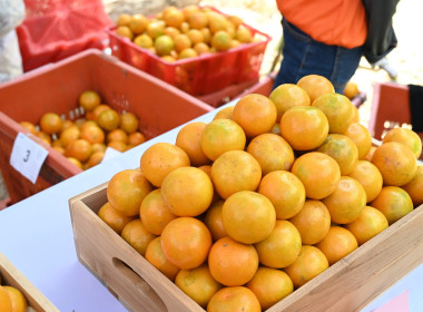 คณะผู้บริหารฯ ลงพื้นที่เยี่ยมกลุ่มเกษตรกรทำไร่โป่งน้ำร้อน พารามิเตอร์รูปภาพ 77