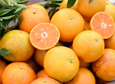 คณะผู้บริหารฯ ลงพื้นที่เยี่ยมกลุ่มเกษตรกรทำไร่โป่งน้ำร้อน พารามิเตอร์รูปภาพ 78