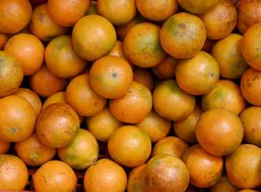 คณะผู้บริหารฯ ลงพื้นที่เยี่ยมกลุ่มเกษตรกรทำไร่โป่งน้ำร้อน พารามิเตอร์รูปภาพ 79