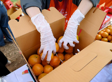 คณะผู้บริหารฯ ลงพื้นที่เยี่ยมกลุ่มเกษตรกรทำไร่โป่งน้ำร้อน พารามิเตอร์รูปภาพ 81