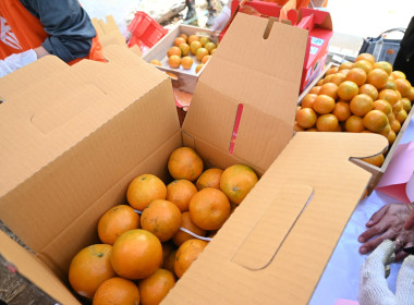 คณะผู้บริหารฯ ลงพื้นที่เยี่ยมกลุ่มเกษตรกรทำไร่โป่งน้ำร้อน พารามิเตอร์รูปภาพ 82