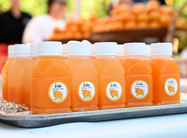 คณะผู้บริหารฯ ลงพื้นที่เยี่ยมกลุ่มเกษตรกรทำไร่โป่งน้ำร้อน พารามิเตอร์รูปภาพ 83