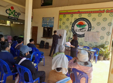 สหกรณ์รัฐ คนละครึ่ง พึ่งพิงกัน ณ สก.โครงการหลวงแม่แฮ พารามิเตอร์รูปภาพ 12