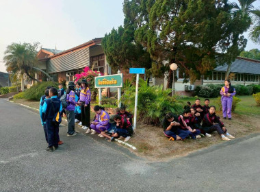 ต้อนรับน้องน้อยบนดอยสูง พารามิเตอร์รูปภาพ 15