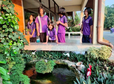 ต้อนรับน้องน้อยบนดอยสูง พารามิเตอร์รูปภาพ 19