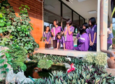 ต้อนรับน้องน้อยบนดอยสูง พารามิเตอร์รูปภาพ 20