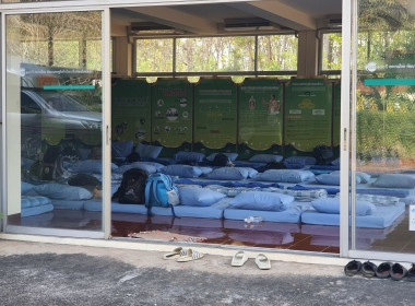 ต้อนรับน้องน้อยบนดอยสูง พารามิเตอร์รูปภาพ 41