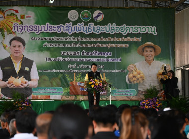 รมช ปล่อยคาราวานหอมหัวใหญ่ 🧅🚚 พารามิเตอร์รูปภาพ 2