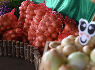 รมช ปล่อยคาราวานหอมหัวใหญ่ 🧅🚚 พารามิเตอร์รูปภาพ 67