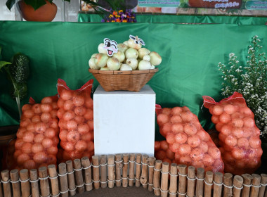 รมช ปล่อยคาราวานหอมหัวใหญ่ 🧅🚚 พารามิเตอร์รูปภาพ 69