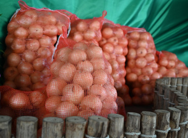 รมช ปล่อยคาราวานหอมหัวใหญ่ 🧅🚚 พารามิเตอร์รูปภาพ 70