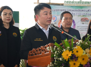 รมช ปล่อยคาราวานหอมหัวใหญ่ 🧅🚚 พารามิเตอร์รูปภาพ 8