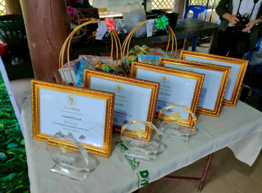 พิธีกรในงาน "รวมพลังขับเคลื่อน-แม่แตงโมเดล" พารามิเตอร์รูปภาพ 8