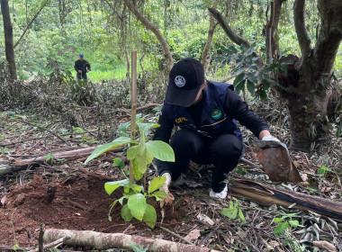จัดอบรมอาสาสมัครสหกรณ์เชียงใหม่ พร้อมรวมพลังบำเพ็ญประโยชน์ 🤝 พารามิเตอร์รูปภาพ 64
