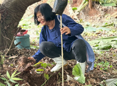 จัดอบรมอาสาสมัครสหกรณ์เชียงใหม่ พร้อมรวมพลังบำเพ็ญประโยชน์ 🤝 พารามิเตอร์รูปภาพ 65
