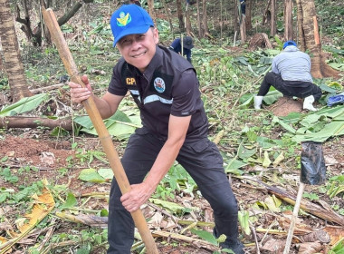 จัดอบรมอาสาสมัครสหกรณ์เชียงใหม่ พร้อมรวมพลังบำเพ็ญประโยชน์ 🤝 พารามิเตอร์รูปภาพ 71