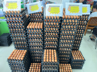 ศูนย์ฯ 9 ร่วมกิจกรรม "วันไข่โลก 2026 (World Egg Day 2026)"🥚 พารามิเตอร์รูปภาพ 21