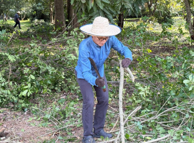 ศูนย์ฯ 9 จัดกิจกรรม 5ส ปรับภูมิทัศน์ ... พารามิเตอร์รูปภาพ 3