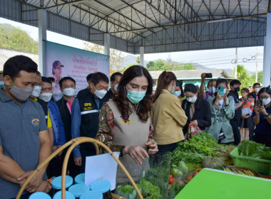 รัฐมนตรีช่วยว่าการกระทรวงเกษตรและสหกรณ์ ... พารามิเตอร์รูปภาพ 12