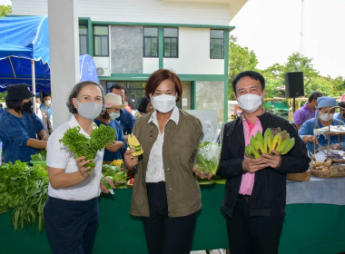 รัฐมนตรีช่วยว่าการกระทรวงเกษตรและสหกรณ์ ... พารามิเตอร์รูปภาพ 13